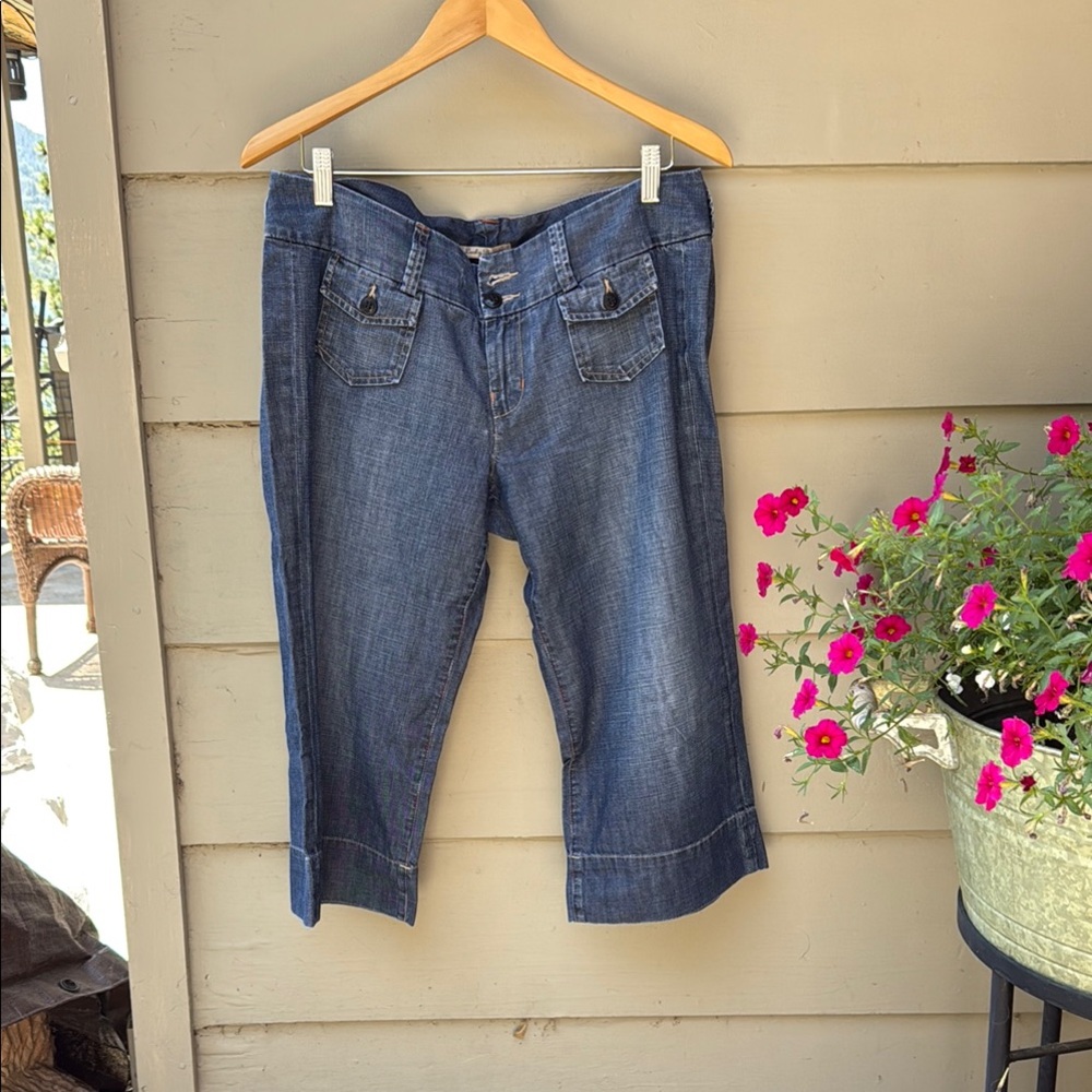 Lucky Brand Blue Ankle Cropped Jeans size 31